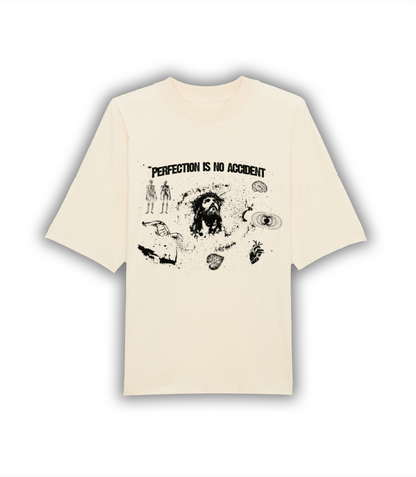 "PERFECTION IS NO ACCIDENT" Oversize Shirt